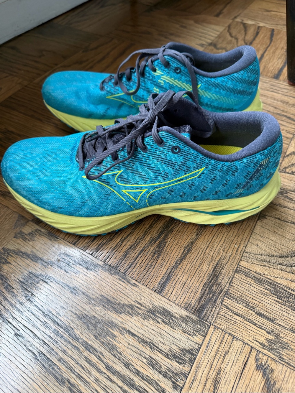 Mizuno Enerzy Wave Inspire 19 Running Shoes